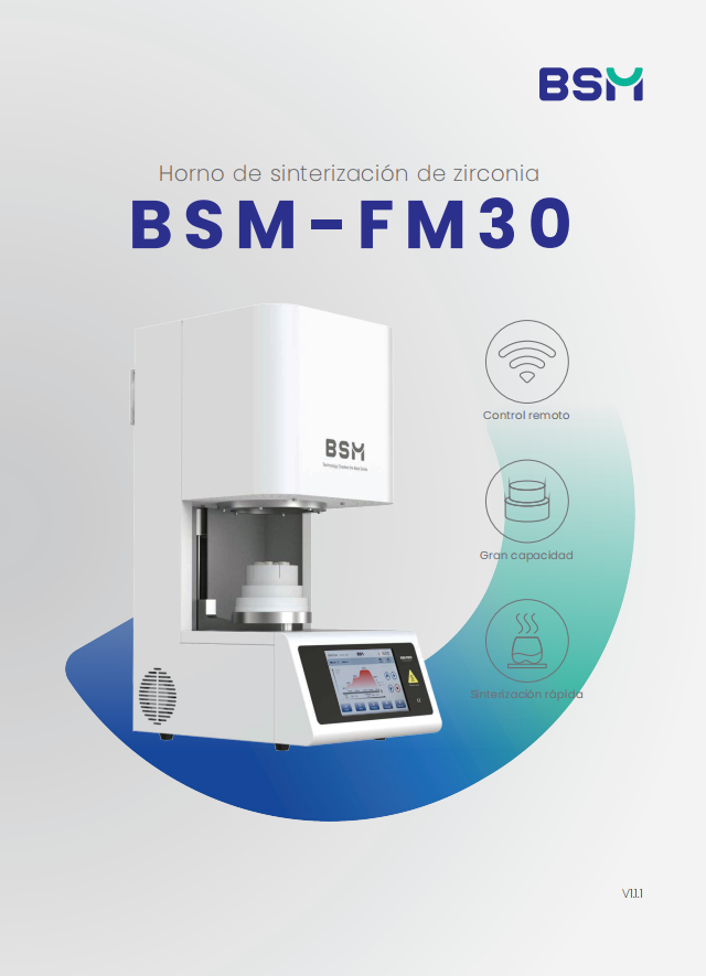 BSM_Sintering_FM30_Flyer_ES 20250812 v1.1.1